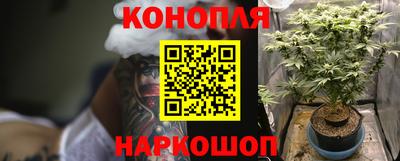 прущие грибы Кулебаки