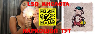 прущие грибы Кунгур